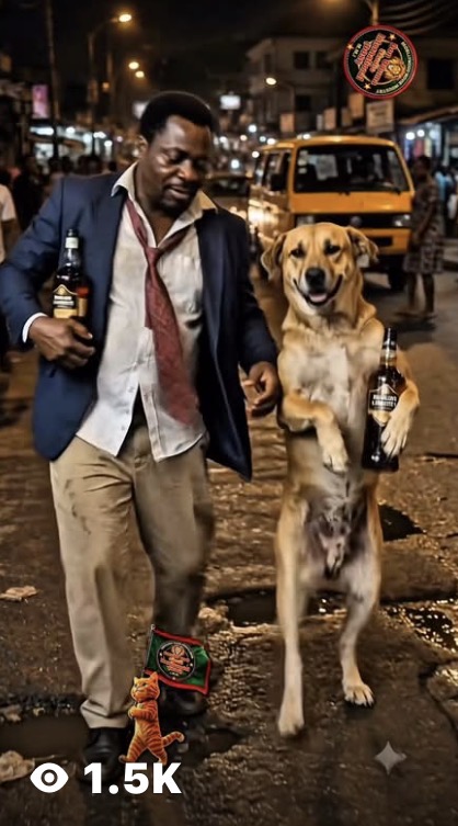 Is This Dog Normal?