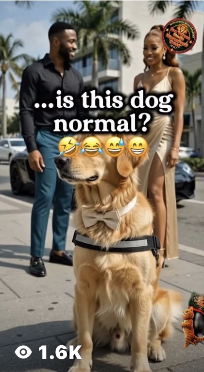 Is This Dog Normal?